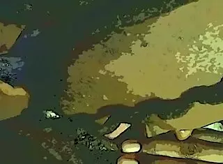 dildo and tongue tag team her wet ebony pussy