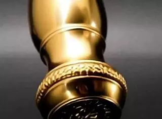 Corinne's Burden: The Journey Of The Seal With Toys And Buttplug