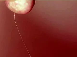 Japanese Wife's Cheating Story Explored