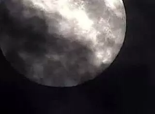 Did you see the married couple's foursome with aliens?