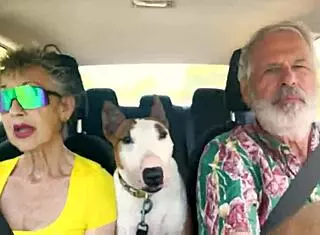 we drive around east oahu chatting sexually