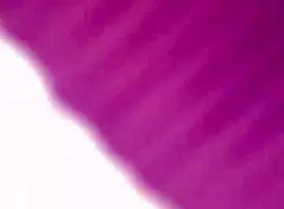 i love elza koms' fetish feet