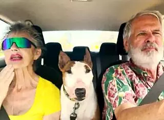 we drive around east oahu chatting sexually