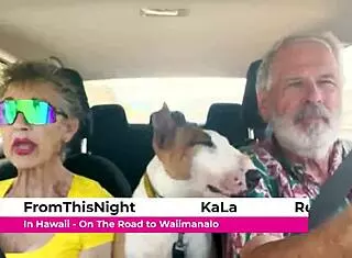 we drive around east oahu chatting sexually