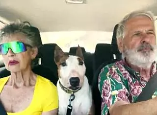 we drive around east oahu chatting sexually