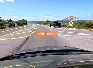 we drive around east oahu chatting sexually