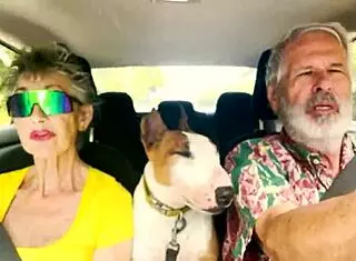 we drive around east oahu chatting sexually