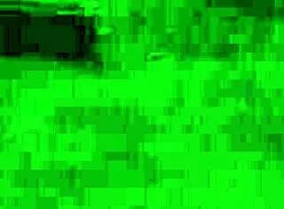 Did you see the married couple's foursome with aliens?