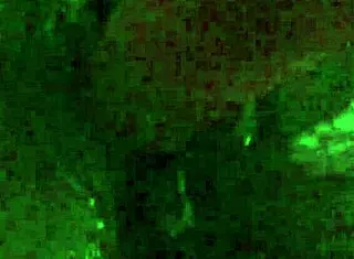 I Love Fucking Myself with Dildo Close Up