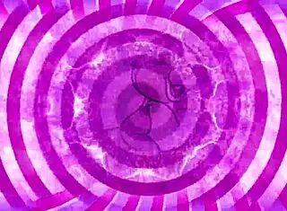 Sissy Teased with Wet Pussy Instructions.