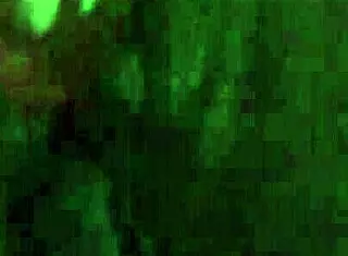 I Love Fucking Myself with Dildo Close Up