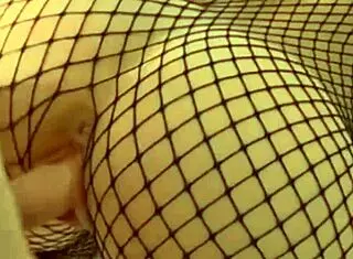 Beautiful Fat Pussy Lips!