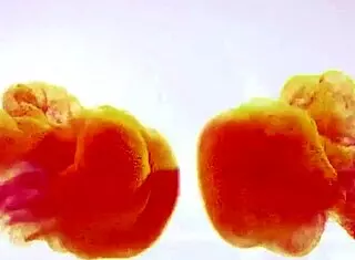 Teen 18+ Eva Berger Gets Wet And Pissy With Her Tits And Pussy Exposed