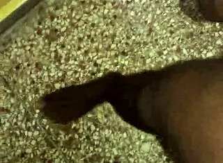 I Have The Lady Provide Excellent Service