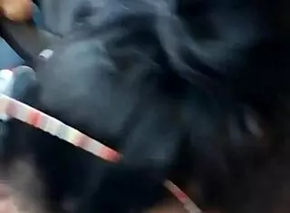 Brunette amateur gives deepthroat blowjob to monster cock in close up