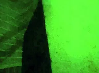 christy red performing a blowjob scene