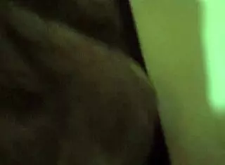 christy red performing a blowjob scene