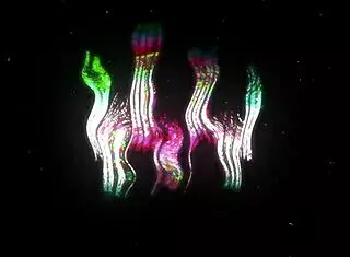 The hot blogger with big ass paid for a sloppy blowjob, then I fucked her pussy.