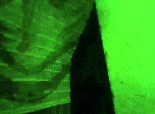 christy red performing a blowjob scene