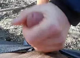 Adventure In The Forest