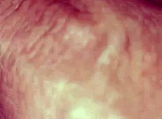 Los Peluches De Esposa