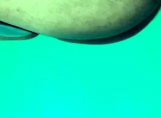 Verification video of a shemale performer