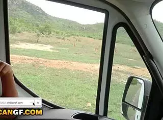 Ebony Girlfriend Licks Big Cock On Safari Date