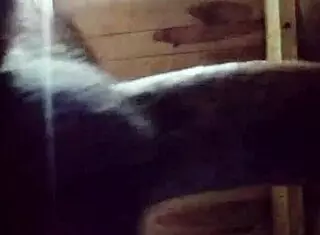 Curvy Latina Wants Passionate Homemade Fucking Close Up