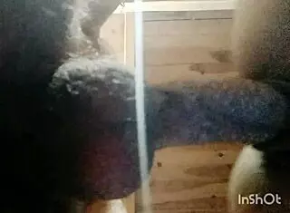 Curvy Latina Wants Passionate Homemade Fucking Close Up