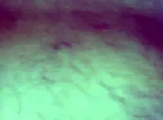 Babe in doggystyle anal: want to see?