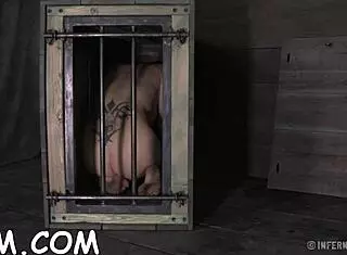 Shocking Prod on Bound Hairless Pussy