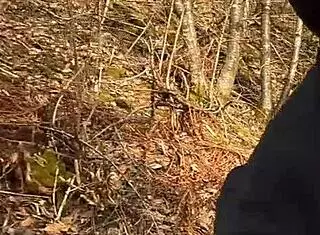 Chubbykaot Enjoys Solo Time In The Forest Again