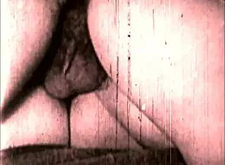 Vintage Erotic Art Featuring Beaver