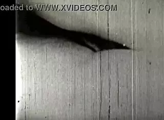 Vintage Erotic Art Featuring Beaver