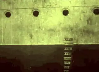 Vintage Erotic Art Featuring Beaver