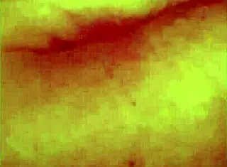 BBW Grandma Visits From England For Doggystyle