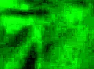 Shemale Crossdressing In Casual Setting With Amateurs.