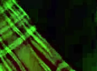 Colombian roommate grabs cock after watching masturbation