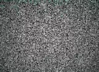 My Beautiful Venezuelan Latina Friend Shares Her Beauty In Homemade Video