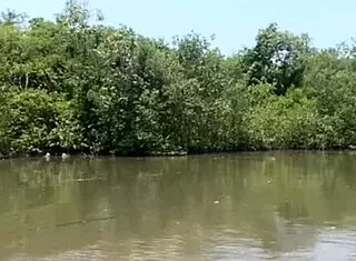 fishing in short shorts flashing