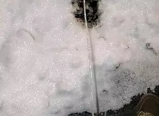 Piss In Public Outdoor