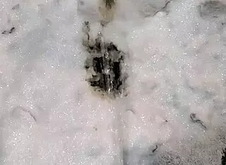 Piss In Public Outdoor