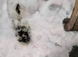 Piss In Public Outdoor