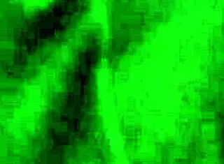 Shemale Crossdressing In Casual Setting With Amateurs.