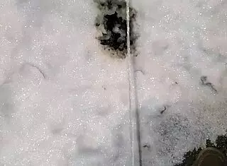 Piss In Public Outdoor