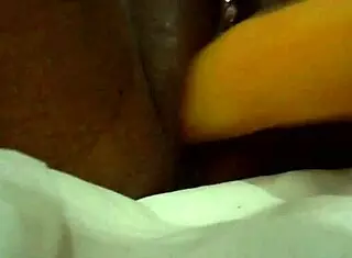 Traído Pelo Chico Burraxudo