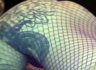 Kyoho Grapes Season 4 Featuring Dutch and European Varieties