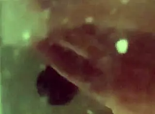 he will to bathroom masturbating