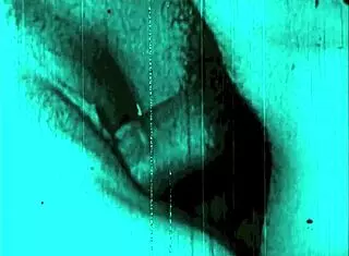 Vintage Erotic Art Collection