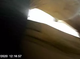 Homeless girl, blow my dick in the car